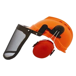 Safety helmet with face shield and ear muffs
