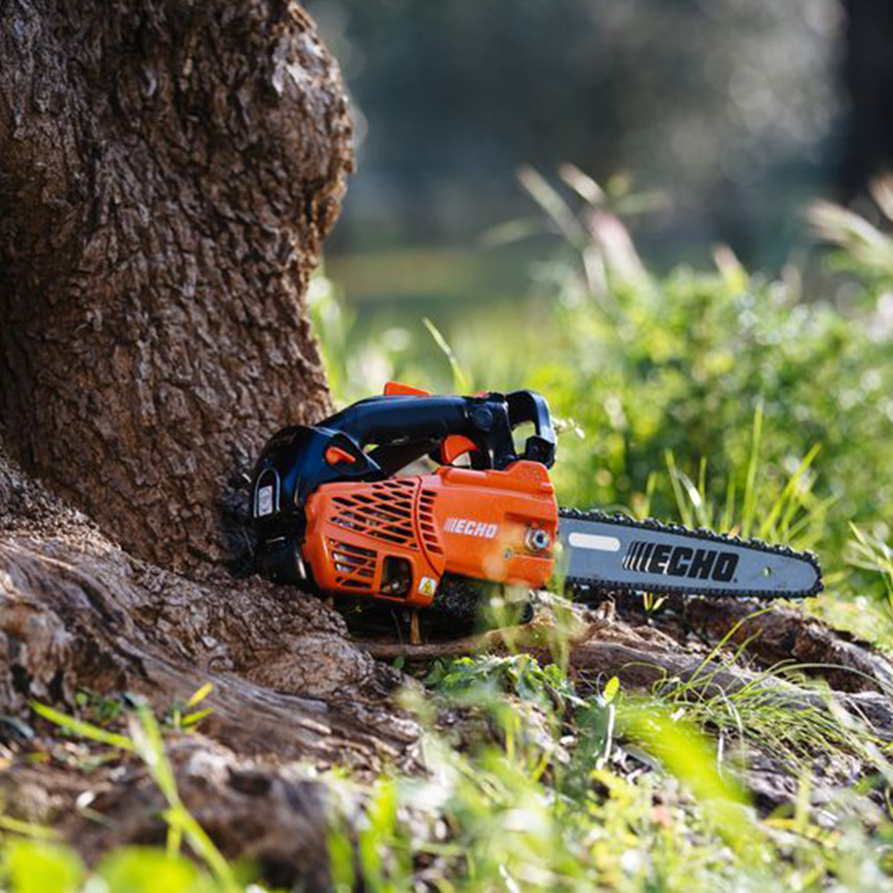 41pjli40ggm.png - Mowers Online Echo chainsaw leaning against tree trunk