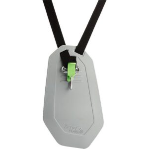 Wireless router with dual external antennas