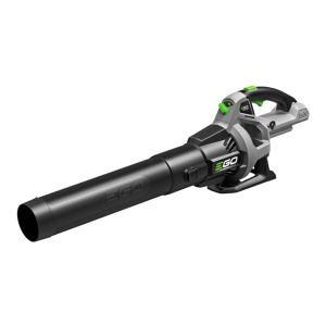 Cordless leaf blower with battery and charger