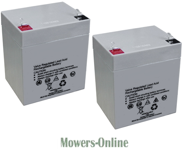 m5qqryxczsb.png - Mowers Online Two rechargeable lead-acid batteries for mowers
