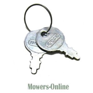 Pair of metal keys with rubber keyring tag