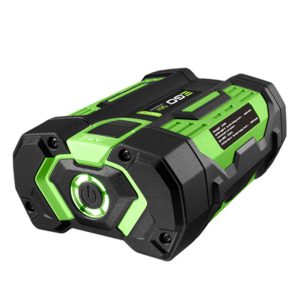 Green and black cordless power tool charger